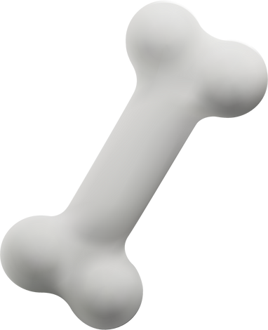 3D Cartoon Bone